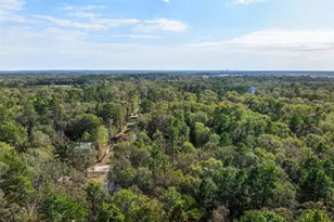 136 Warbler Ln, Livingston, TX 77351 - Photo 25