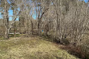 14185 Tower Glen Ln, Conroe, TX 77306 - Photo 17