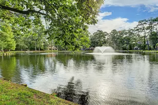 50 Patti Lynn Ln, Houston, TX 77024 - Photo 45