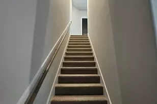 9792 Black Gum, Willis, TX 77318 - Photo 25