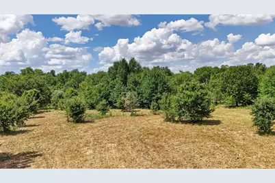 18.28 Acres Little Mississippi Cemetery Road, Franklin, TX 77856 - Photo 5