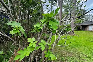 24231 Shellbrook Dr, Houston, TX 77336 - Photo 37