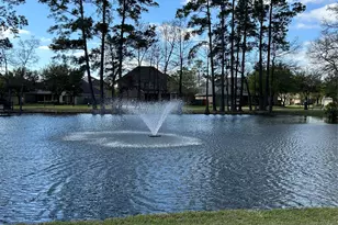 14123 Spindle Arbor Rd, Cypress, TX 77429 - Photo 49