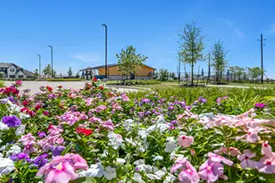 409 Elmbrook Ter Wy, Waller, TX 77484 - Photo 17