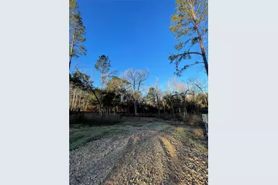 11351 Annie Creek Drive, Willis, TX 77378 - Photo 3