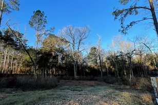 11351 Annie Creek Dr, Willis, TX 77378 - Photo 3