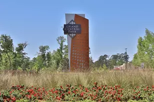 315 Texoma Plains Dr, Conroe, TX 77304 - Photo 25