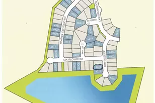 4315 Driftrose Dr, Fulshear, TX 77441 - Photo 17