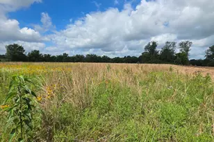 Tbd Lot 13 County Road 201, Plantersville, TX 77363 - Photo 1