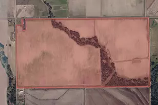 9647 FM 1300, Louise, TX 77455 - Photo 1