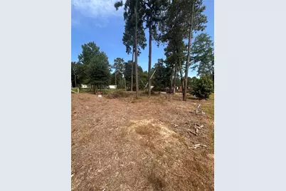 Tbd Hoptree Lane, Plantersville, TX 77363 - Photo 3