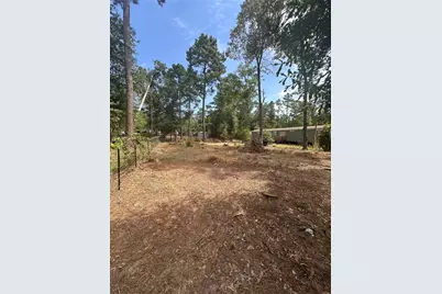 Tbd Hoptree Lane, Plantersville, TX 77363 - Photo 1