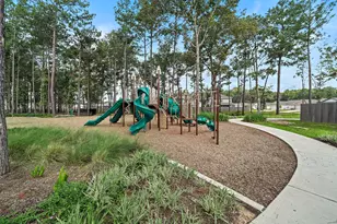 20898 Wildbird Cherry St, Porter, TX 77365 - Photo 23