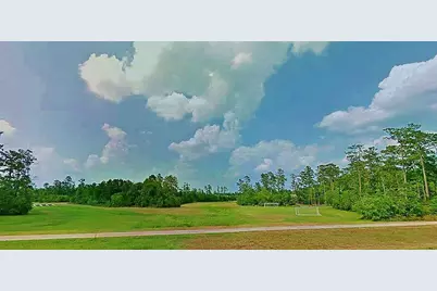 23 Shellbark, The Woodlands, TX 77382 - Photo 31