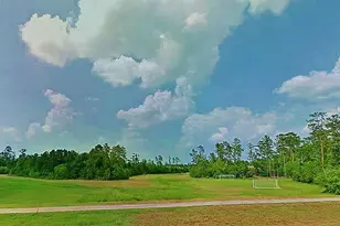 23 Shellbark, The Woodlands, TX 77382 - Photo 31