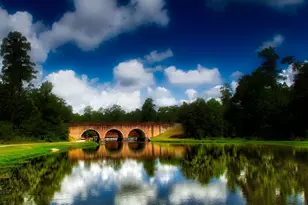 23 Shellbark, The Woodlands, TX 77382 - Photo 29