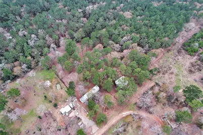 Split B Tall Pine Road, Navasota, TX 77868 - Photo 7