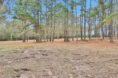 Split B Tall Pine Road, Navasota, TX 77868 - Photo 3