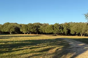 Tbd Rubin Lee Rd, Cat Spring, TX 78933 - Photo 17