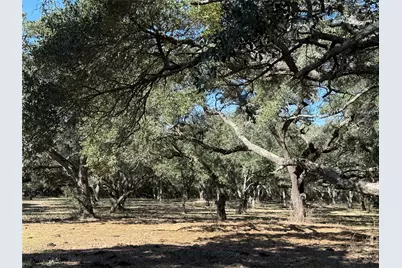 Tbd Rubin Lee Road, Cat Spring, TX 78933 - Photo 23