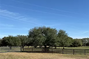 Tbd Rubin Lee Rd, Cat Spring, TX 78933 - Photo 3