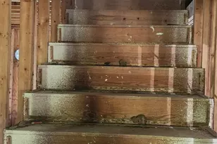 5810 County Rd 924, Sweeny, TX 77480 - Photo 5