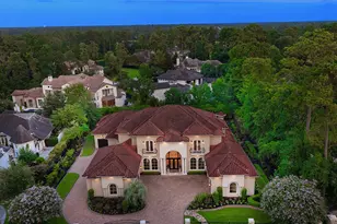 2 Lace Point, The Woodlands, TX 77382 - Photo 33