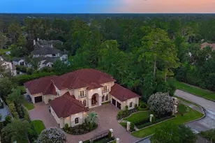 2 Lace Point, The Woodlands, TX 77382 - Photo 35