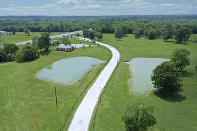 203 Ferguson Drive, Cleveland, TX 77327 - Photo 7