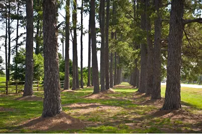 8525 Sunset Loch Drive, Spring, TX 77379 - Photo 25