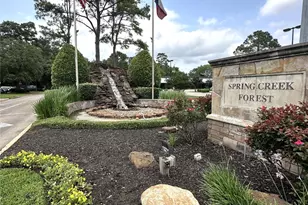 17407 Majestic Forest Dr, Spring, TX 77379 - Photo 49