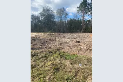 0 Railroad Avenue, Shepherd, TX 77371 - Photo 3