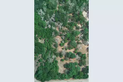 16039 Yaupon Berry, Plantersville, TX 77363 - Photo 9