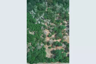 16039 Yaupon Berry, Plantersville, TX 77363 - Photo 11