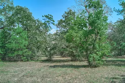 16039 Yaupon Berry, Plantersville, TX 77363 - Photo 1