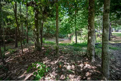 1681 County Road 3050, Woodville, TX 75979 - Photo 9