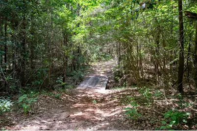 1681 County Road 3050, Woodville, TX 75979 - Photo 47