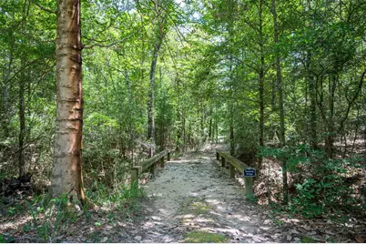 1681 County Road 3050, Woodville, TX 75979 - Photo 7
