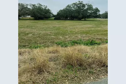 103 Vintage Oaks Court, Angleton, TX 77515 - Photo 3