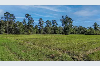 14653 Fm 1008, Dayton, TX 77535 - Photo 5