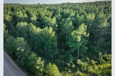 Tbd Old Hwy 287, Groveton, TX 75845 - Photo 21