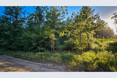 Tbd Old Hwy 287, Groveton, TX 75845 - Photo 9