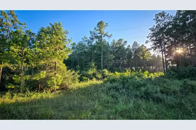 Tbd Old Hwy 287, Groveton, TX 75845 - Photo 1