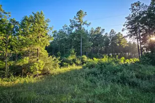 Tbd Old Hwy 287, Groveton, TX 75845 - Photo 1