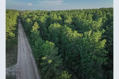 Tbd Old Hwy 287, Groveton, TX 75845 - Photo 13