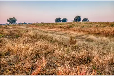 Tbd Flat Prairie Road, Washington, TX 77880 - Photo 5