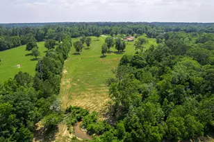 4161 Fm 2666 Rd, Shepherd, TX 77371 - Photo 49