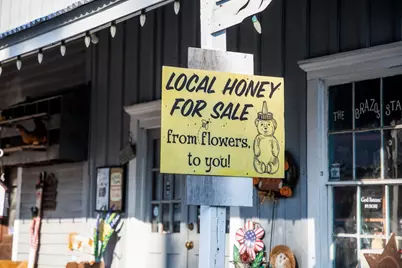 Lot 20 Sunny Meadow Drive, Chappell Hill, TX 77426 - Photo 31