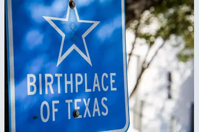 Lot 20 Sunny Meadow Drive, Chappell Hill, TX 77426 - Photo 3