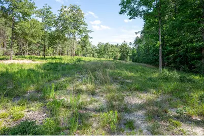 1068 County Road 3200, Colmesneil, TX 75938 - Photo 39